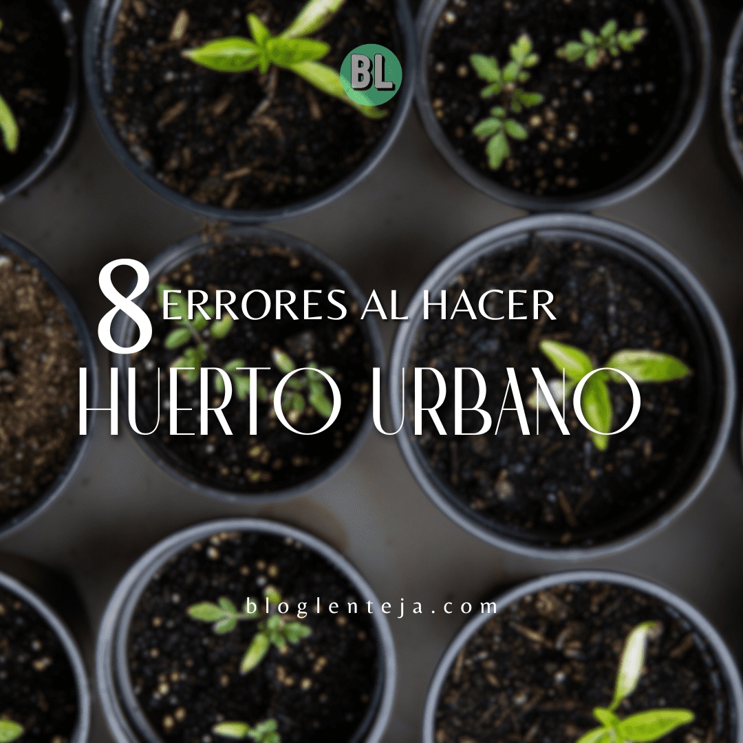 8 errores al hacer tu huerto