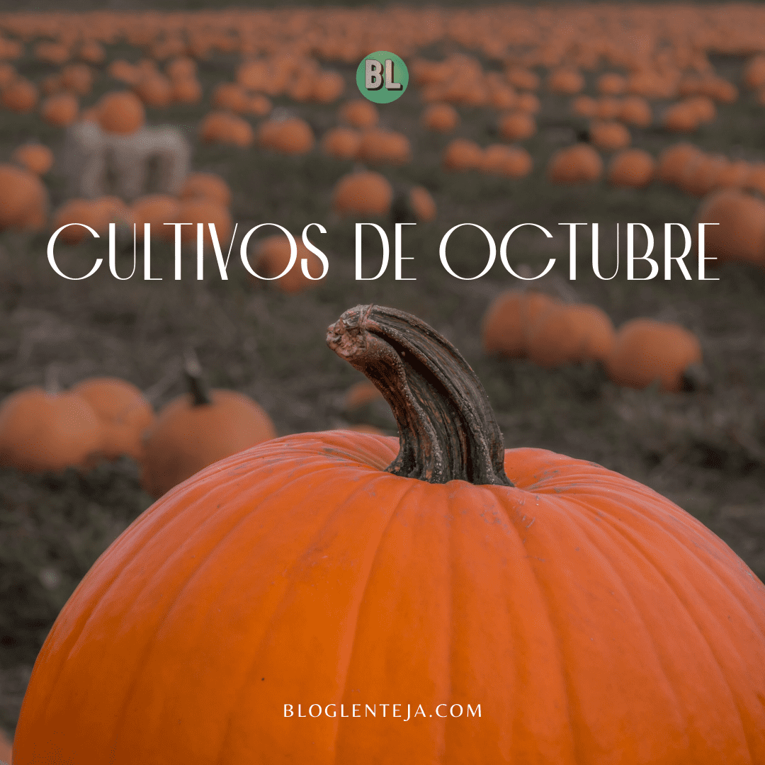 Cultivos de Octubre