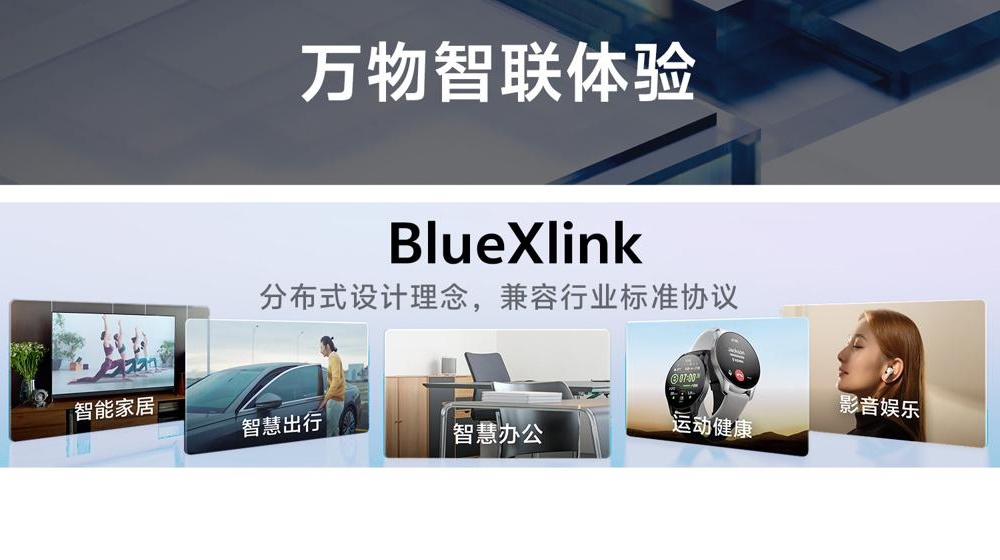 Vivo BlueXlink