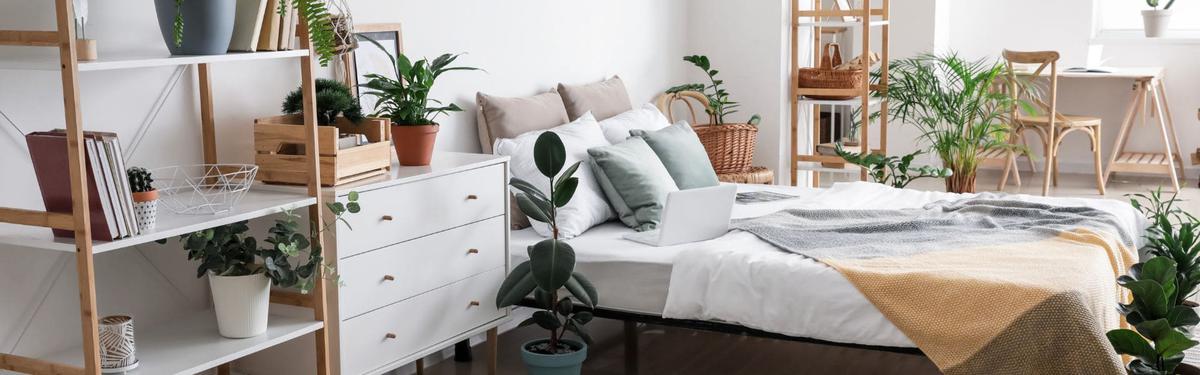 La importancia de las plantas en el dormitorio