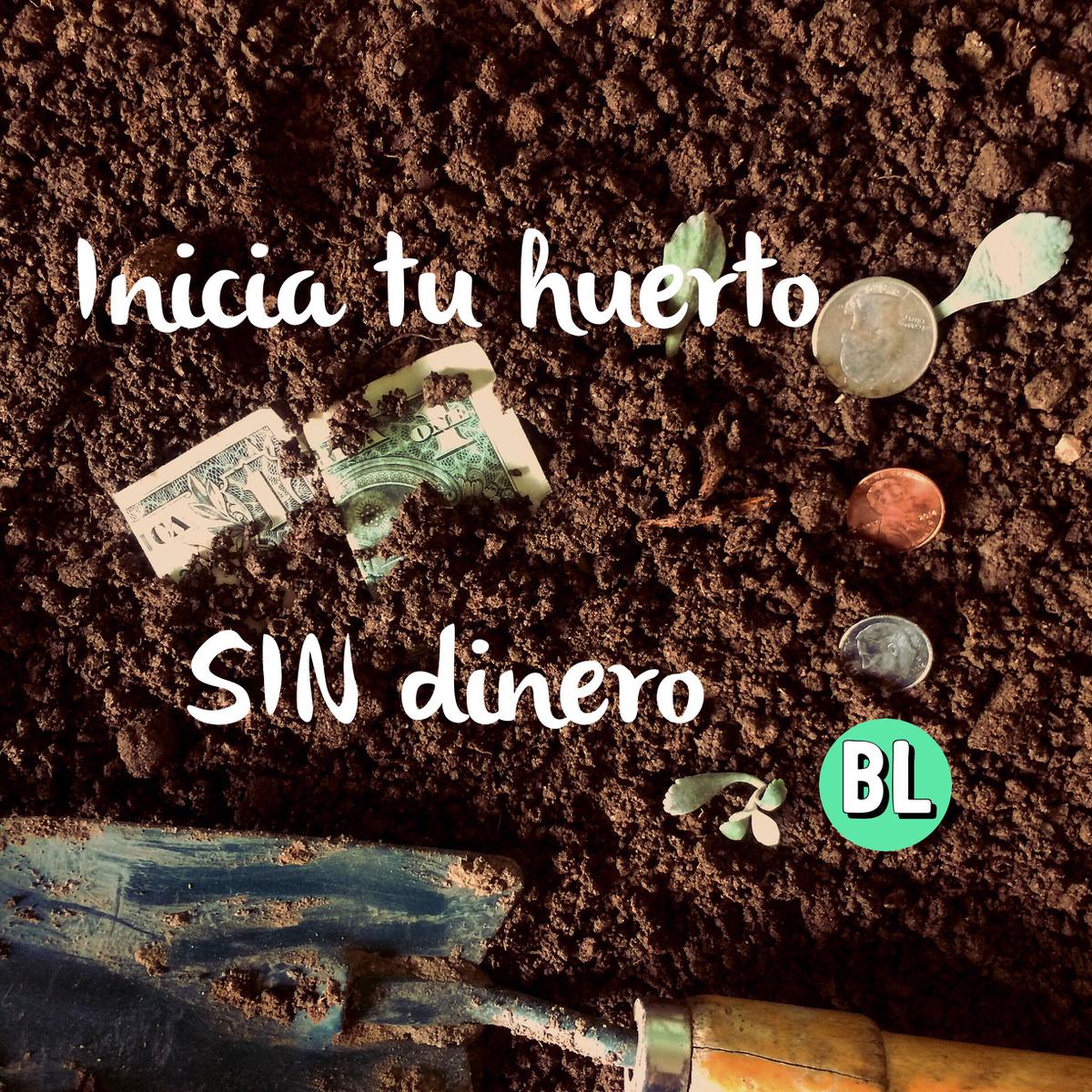 Inicia tu huerto SIN dinero
