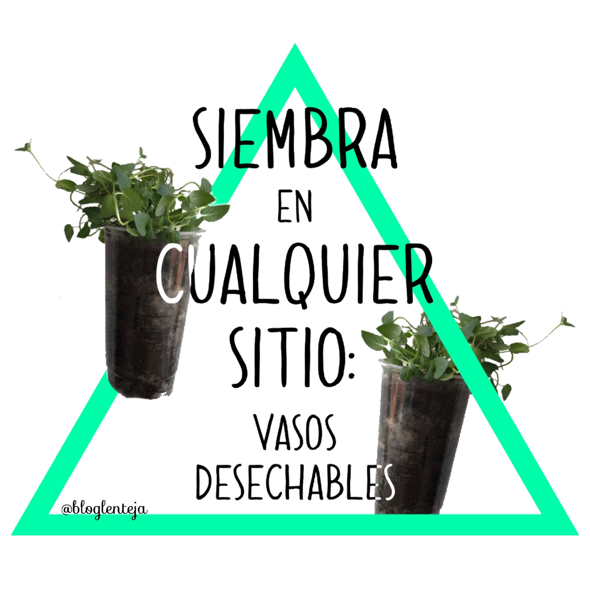 Siembra en cualquier sitio: Vasos desechables