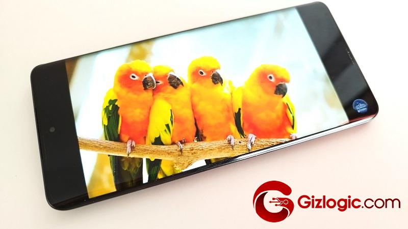 HONOR Magic 6 Lite