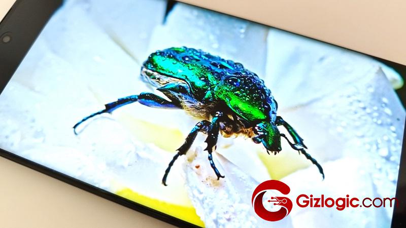 HONOR Magic 6 Lite