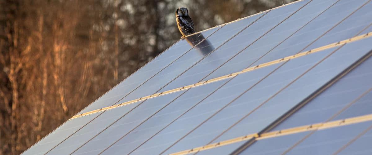 Placas solares