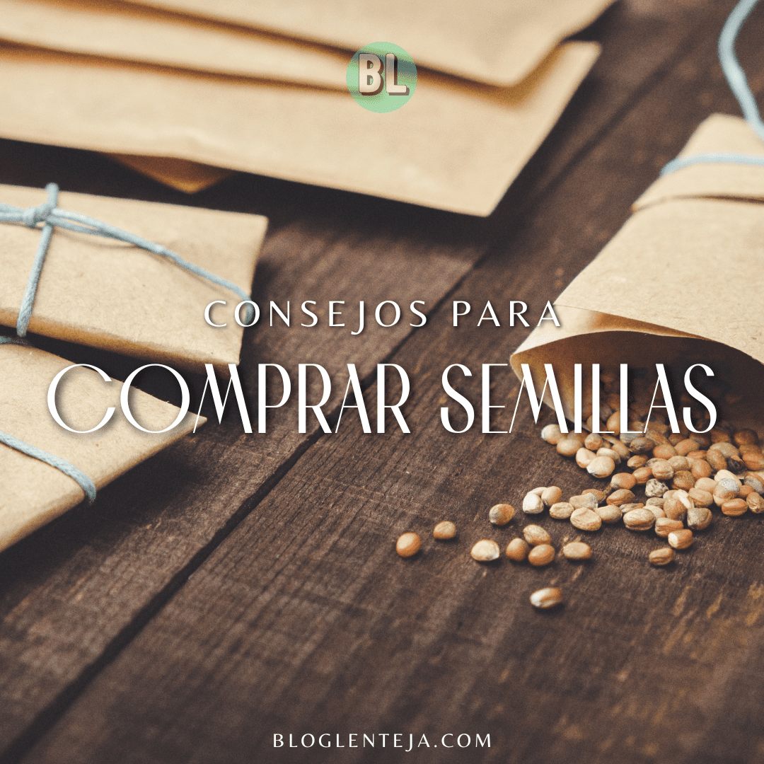 Consejos para Comprar Semillas
