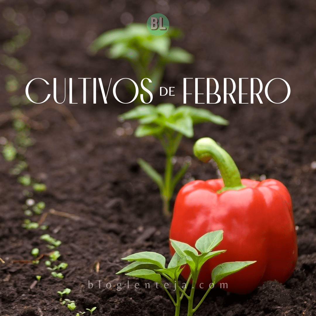 Cultivos de Febrero
