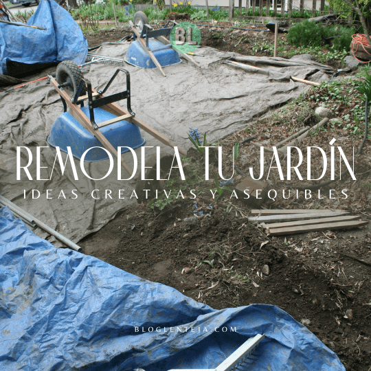 Remodela tu Jardín: Ideas Creativas y Asequibles