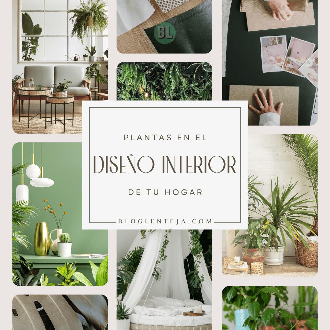 Plantas en el Diseño Interior de tu Hogar