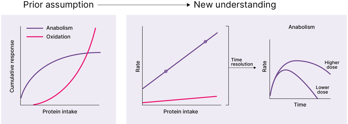 cuántos gramos son lo máximo que el cuerpo puede absorber por comida