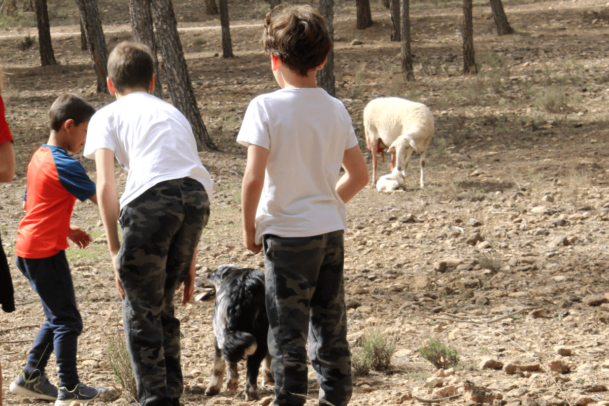 Niños en el bosque y la oveja con su cordero detrás