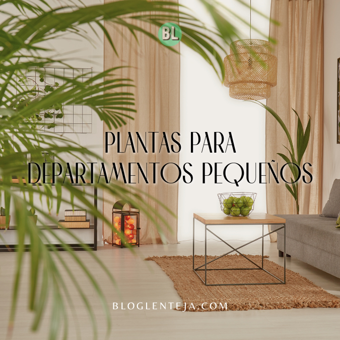 Plantas para Departamentos Pequeños