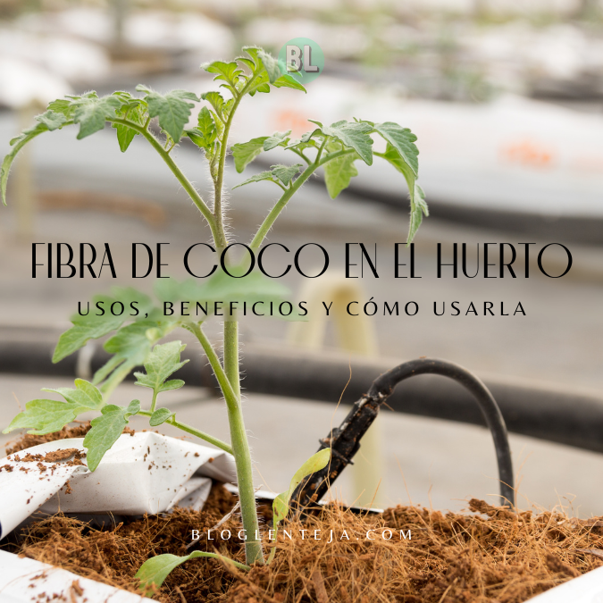 Fibra de Coco en el Huerto