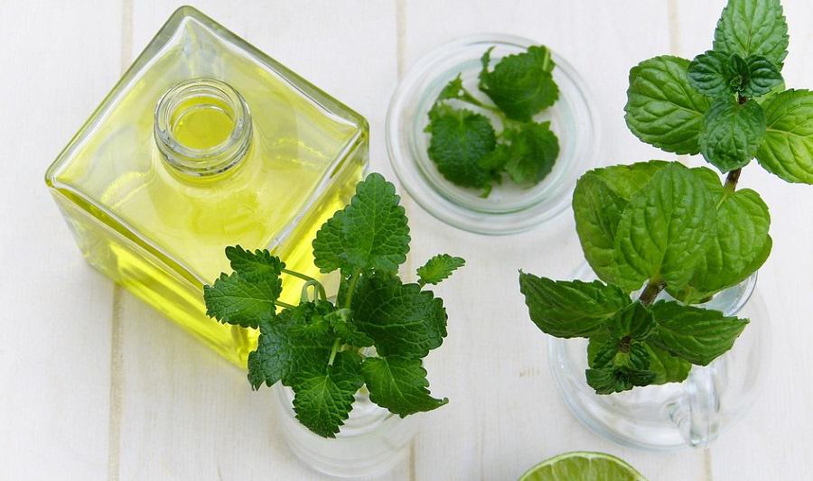 aceite-de-menta.