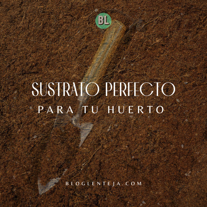 Sustrato Perfecto para tu Huerto