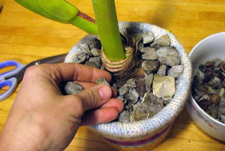 Recicla un sueter para tus macetas4