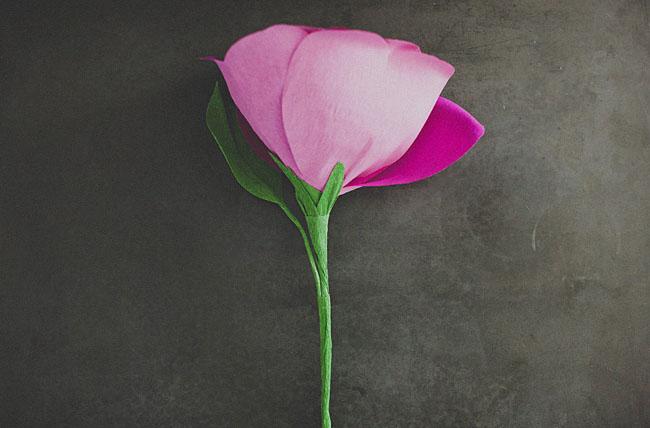 diy-giant-paper-rose-15