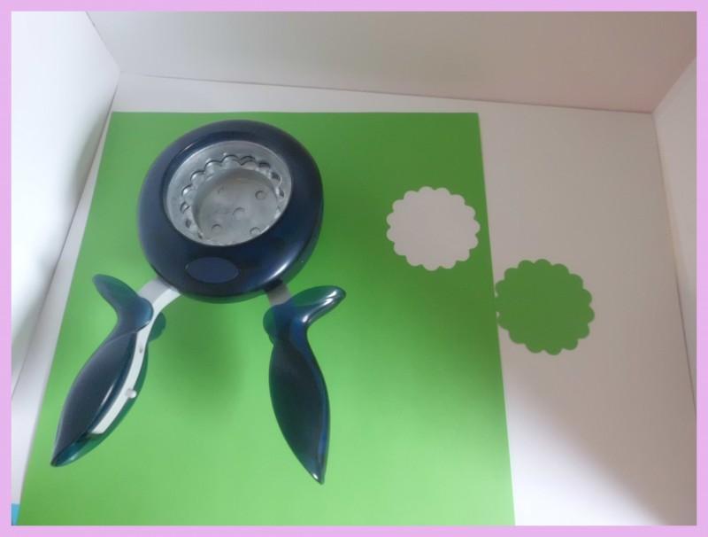 fotos varias abril 2013 015