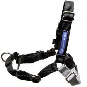 easy-walk-dog-harness alone
