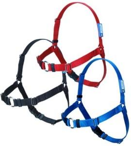 sense-ible_harness