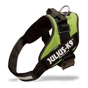 JULIUS-K9