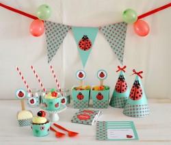 Kit-fiesta-1