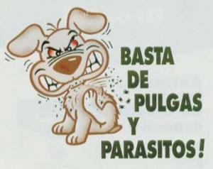 remedios caseros contra las pulgas