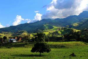 Lugares para respirar.