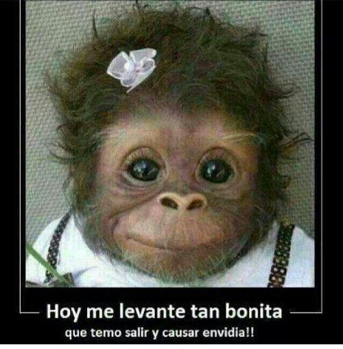 25 imagenes para Face o whatsapp | Mascotas