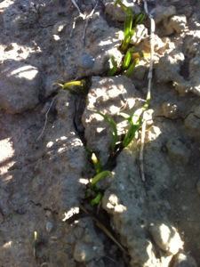 20130522-215547.jpg