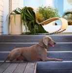 Justine_Hugh_Jones_3