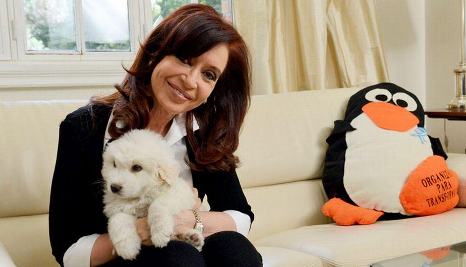 Simón, el perro de Cristina Fernández