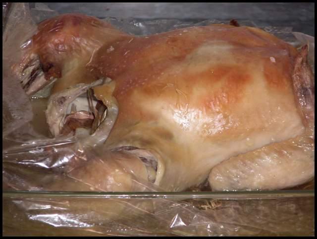 Pollo-asado-con-salsa-de-mole-poblano-003