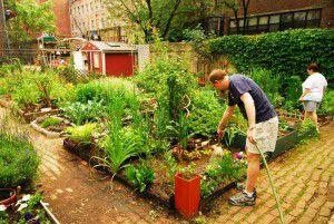 eco_trend_garden_sharing_urban_farming_landshare