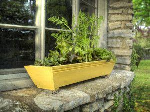 HGTV-Gardening-Club-minifarm_window-box-mini-farm_s4x3_lg