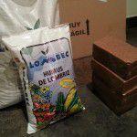 Sustrato ideal cultivar en casa