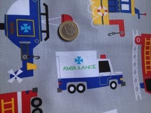 VEHICULOS OFICIALES 4