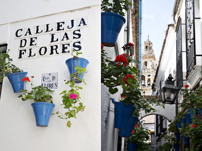 calleja de las flores cordoba