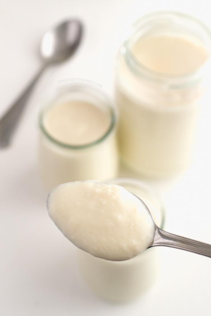 Yogurt de soja - danzadefogones.com