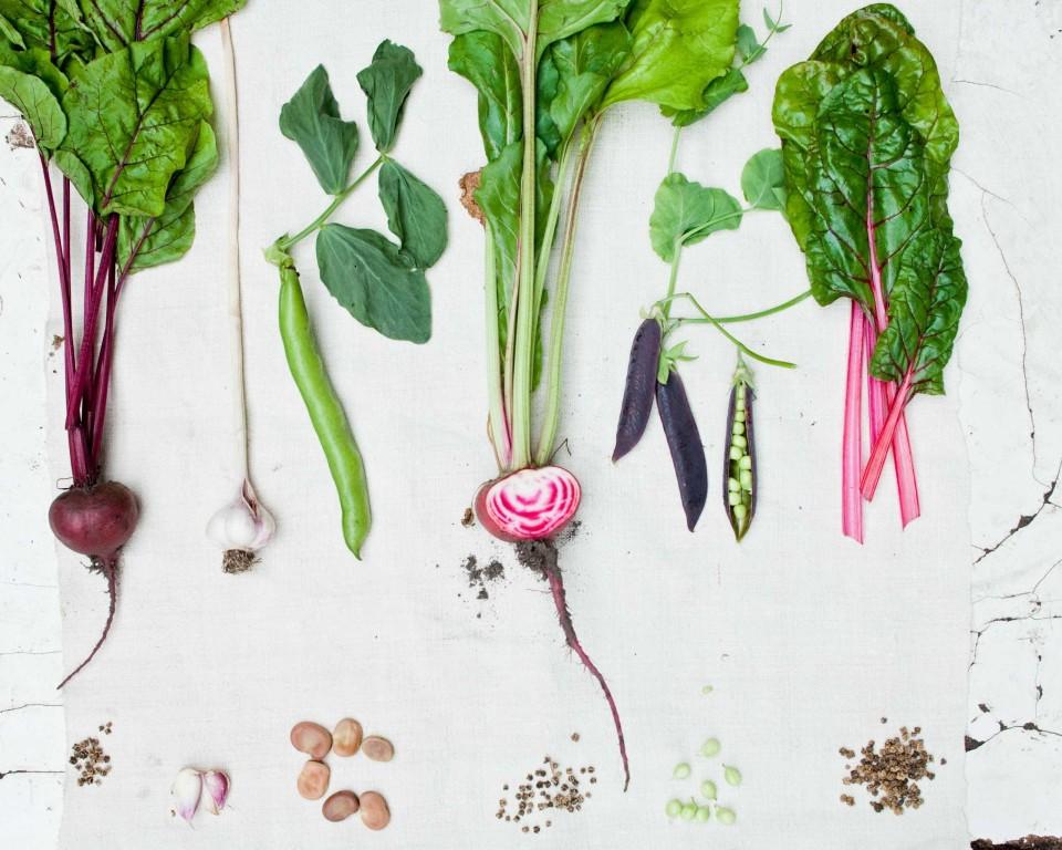 del-moestuin-3-7-2012_03052