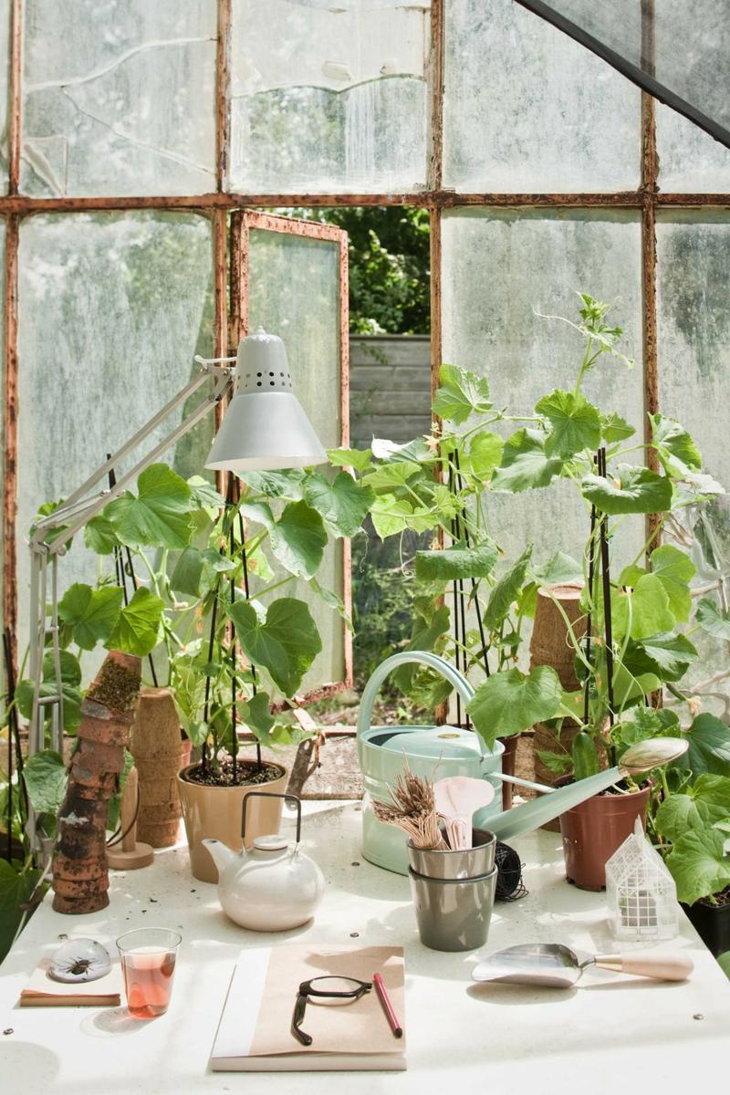 del-moestuin-3-7-2012_03039