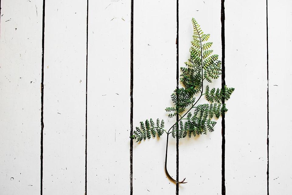 SFD054EC146B83D40CBA1AB5DF1E001C318_960x