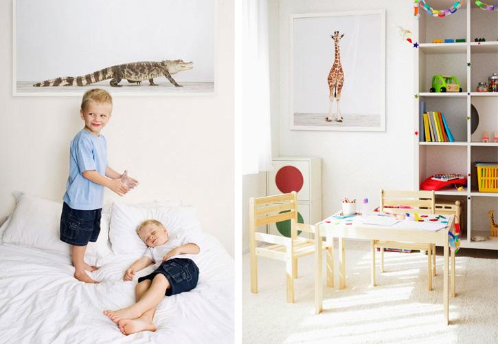decorar con postales de animales14