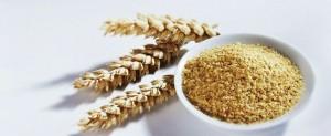 germen de trigo
