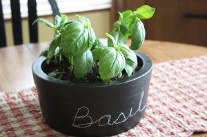 albahaca