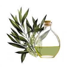aceite de arbol de te