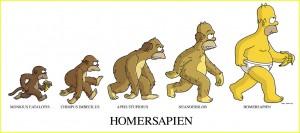 teoria de la evolucion