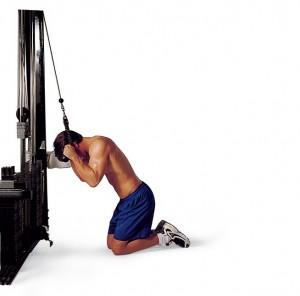 poleas-abdominales