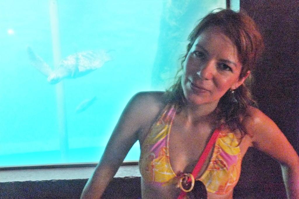 museo tortuga