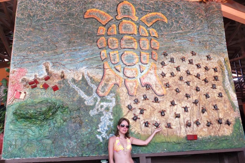 museo tortuga